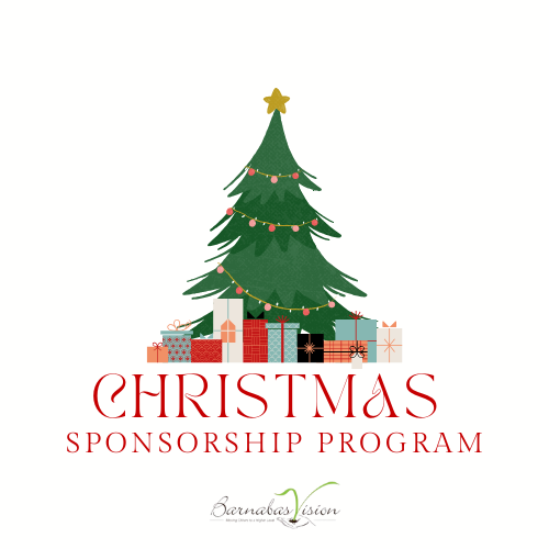 Sponsorship Program
